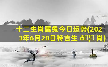 十二生肖属兔今日运势(2023年6月28日特吉生 🦅 肖)